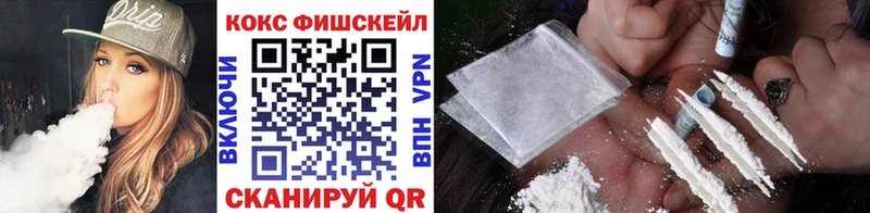 продажа наркотиков  Барнаул  Cocaine Fish Scale 