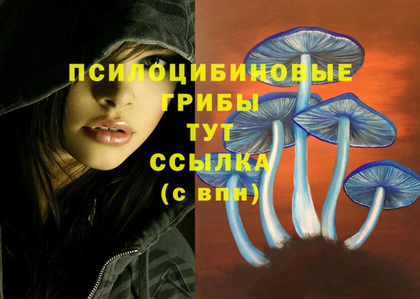 jwh Гусь-Хрустальный
