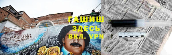 эйфоретик Гусев