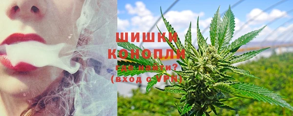 эйфоретик Гусев