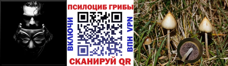 Галлюциногенные грибы мицелий  hydra ТОР  Барнаул 